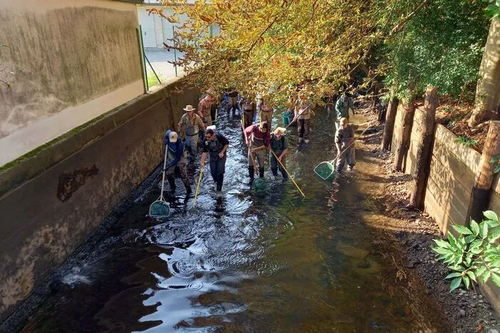 Einmal im Jahr erfolgt die notwendige Abkehr, die das Mühlenkonsortium, Besitzer des Mühlgangs, in die Wege leitet. Der Kanal, der mit Murwasser einst Mühlen versorgte und jetzt der Stromgewinnung dient, muss gereinigt werden.