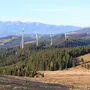 Noch im Herbst soll die Verhandlung über die Beschwerde zum UVP-Verfahren des Windparks Stubalm stattfinden