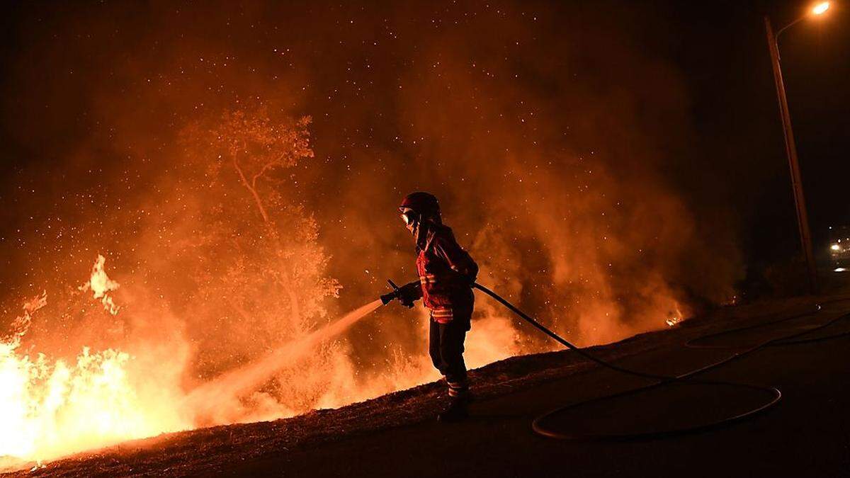 Waldbrände: 41 Tote allein in Portugal