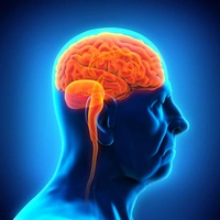 Grazer App verlangsamt Alzheimer-Verlauf