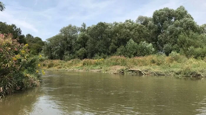 Auf der Feistritz fuhr man mit dem Kanu entlang und konnte die Natur genießen.