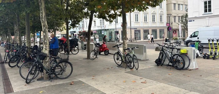 Viele Fahrräder werden an Bäumen gesichert abgestellt, weil alle anderen Stellplätze belegt sind