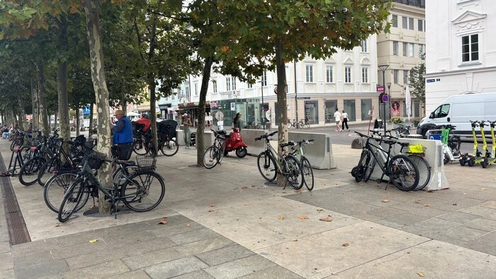 Viele Fahrräder werden an Bäumen gesichert abgestellt, weil alle anderen Stellplätze belegt sind