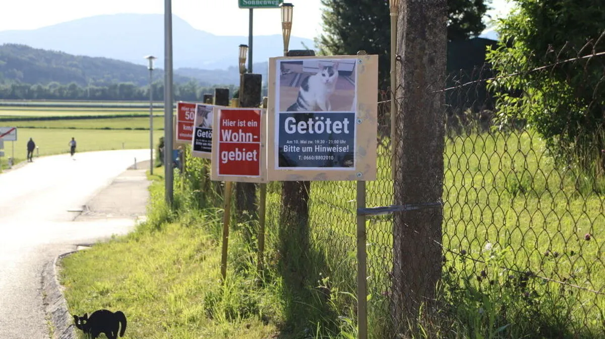 Der Besitzer der Katze stellte Plakate rund um sein Grundstück auf