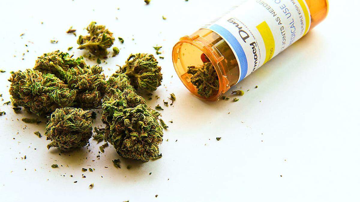 Cannabis als Schmerzmittel