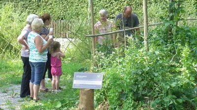 Jeder darf ernten und naschen 