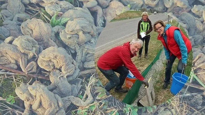 Das Ehepaar Graßberger und Renate Angerler beim Amphibienschutzzaun