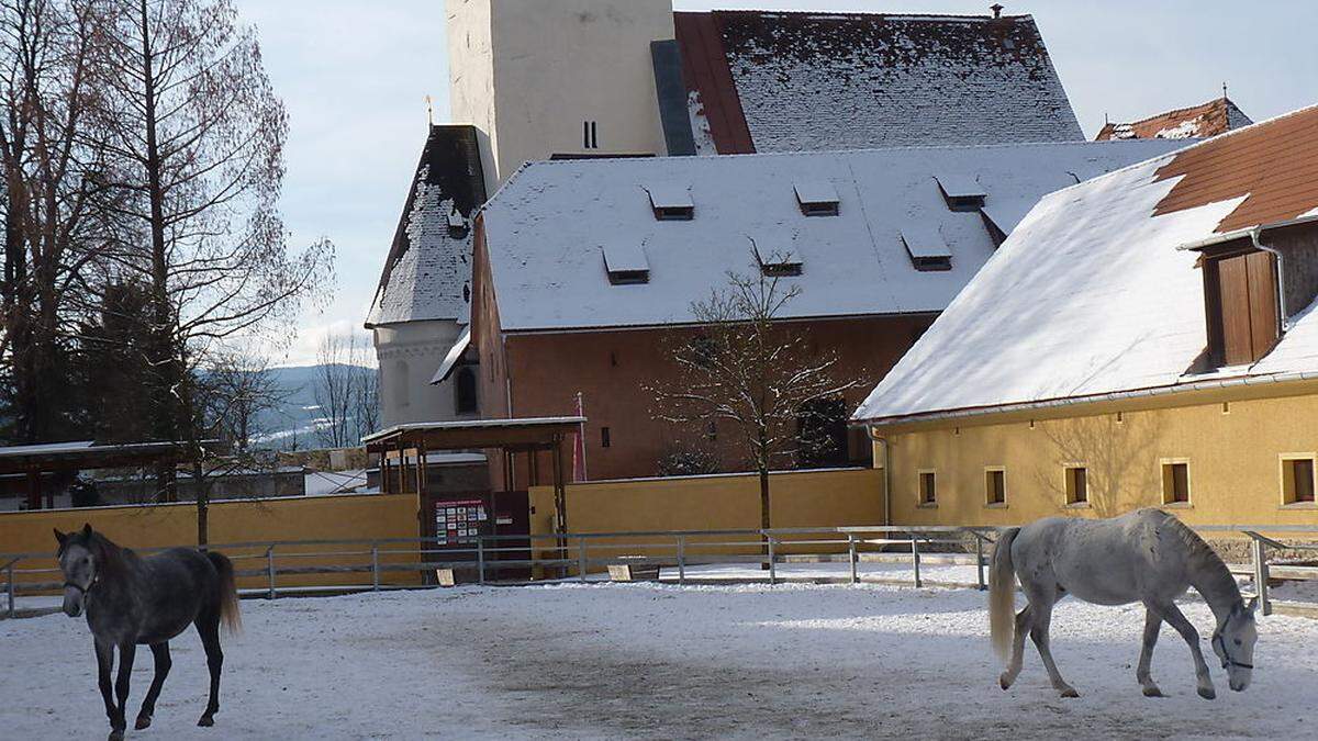 In Piber ist es auch möglich, eine Lehre zu absolvieren