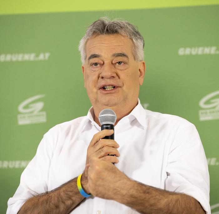 Grünen-Chef Werner Kogler