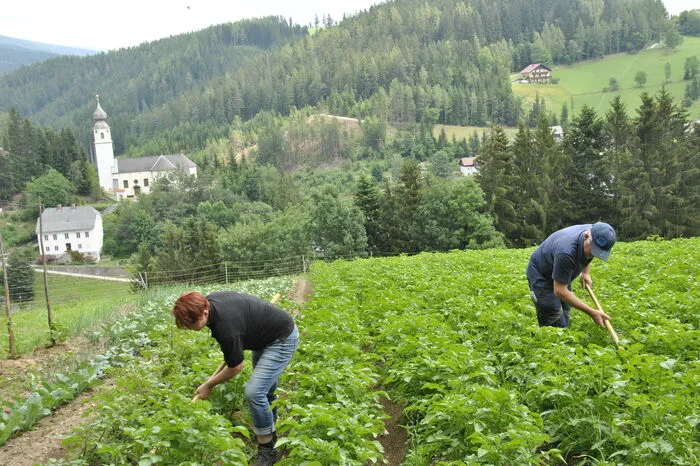 Familie Schaberreiter aus St. Kathrein am Hauenstein.