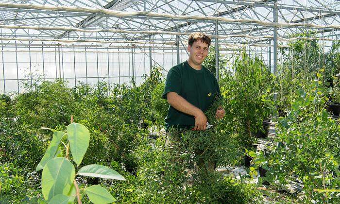 Zoo-Gärtner Konrad Käfer auf der eine „Eukalyptus-Plantage“ des Tiergarten Schönbrunn mit zehn verschiedenen Eukalyptus-Arten in einem Glashaus in Wien-Simmering