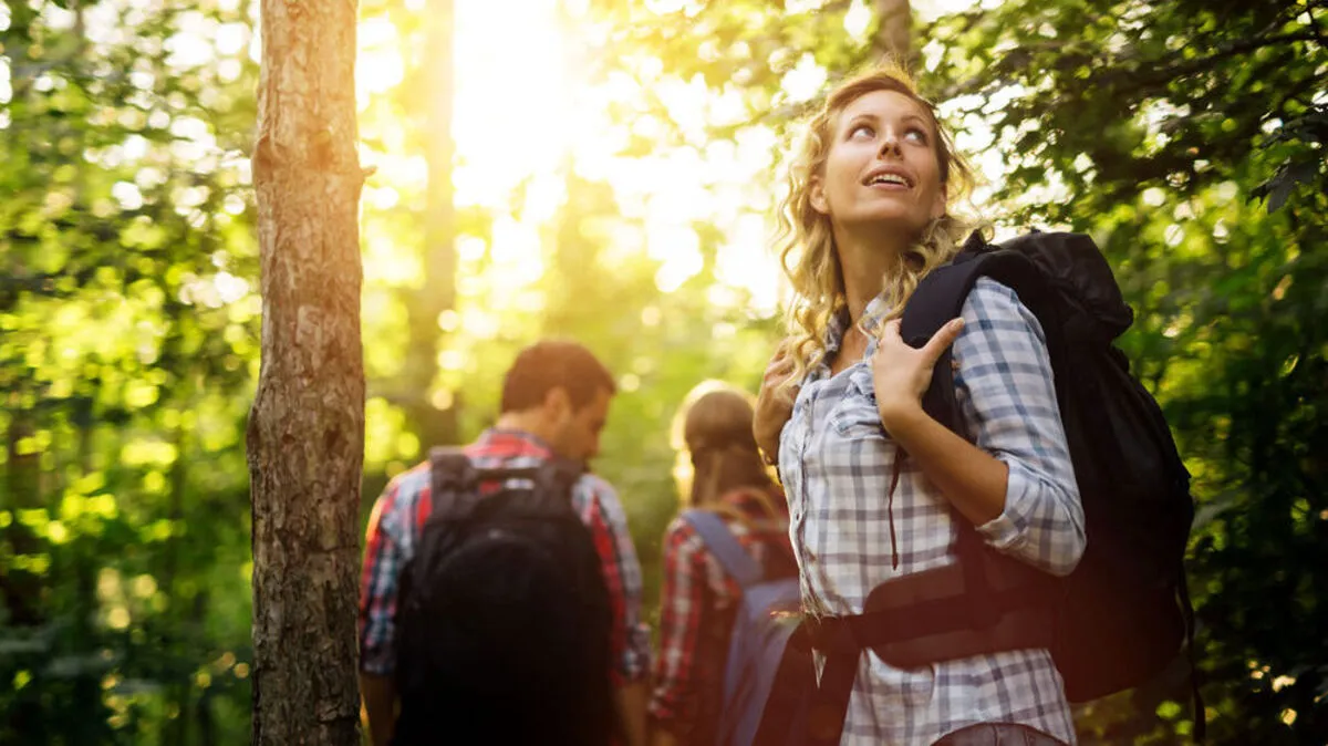 Du und dein Wald – zusammen könnt ihr einiges erreichen. Wir sagen dir, wie. 