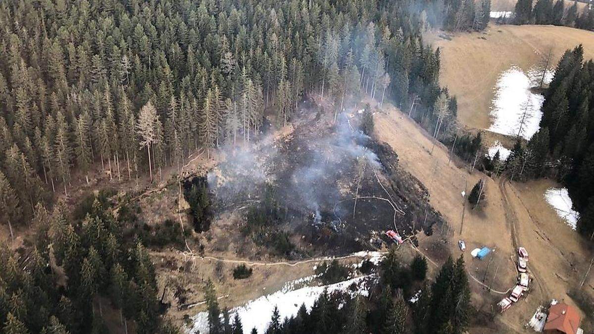 In Nassing geriet ein Waldstück in Brand 