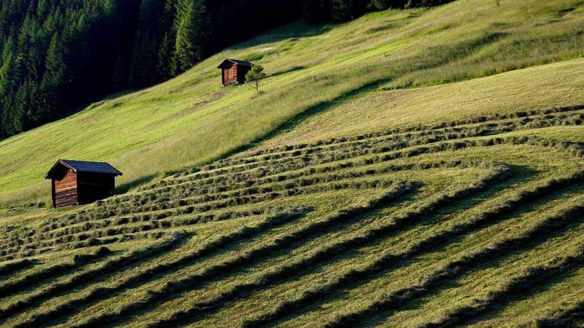 Mit Landschafts- und Stimmungsbildern schafften es Fotoclub-Mitglieder in den Kalender 