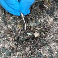 Vor wenigen Monaten wurde auch auf Straßen in Wien Asbest gefunden. Nun gibt es neuerliche Meldungen von Verdachtsfällen im Burgenland, in der Steiermark und in Niederösterreich