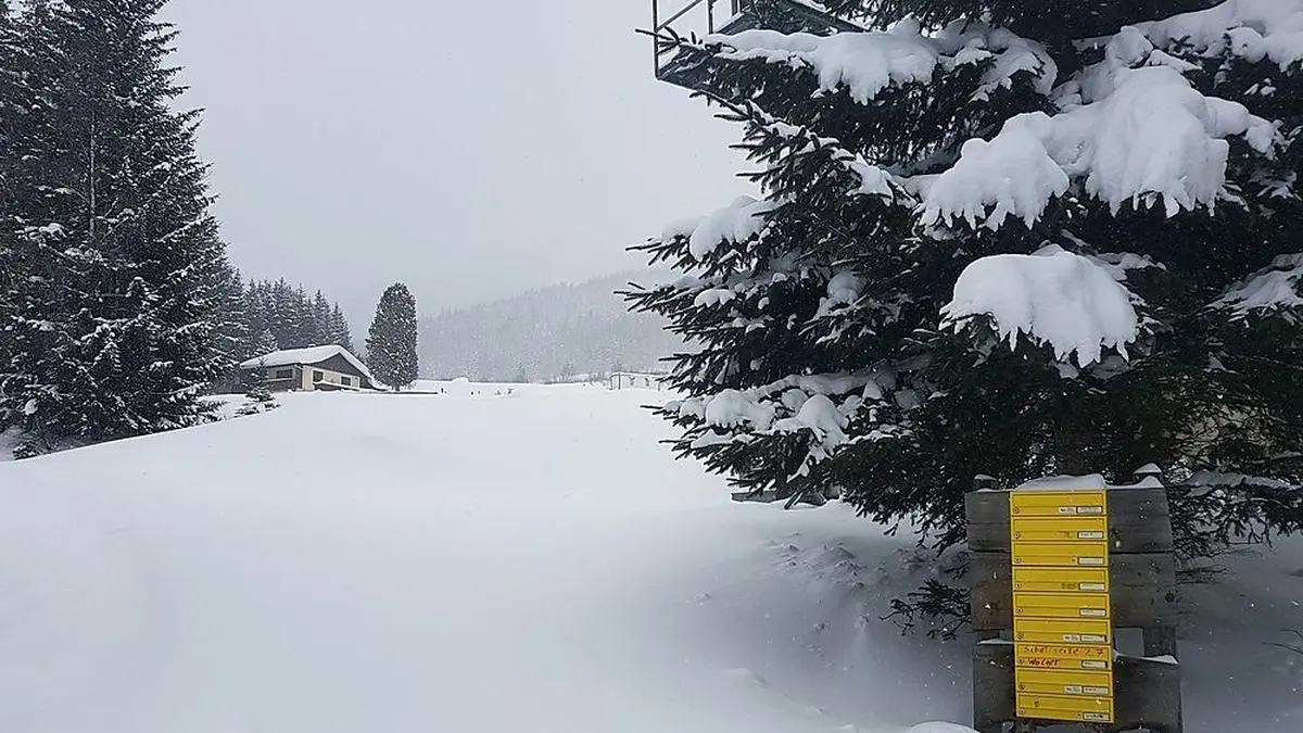 Beflogen wird wieder der Bereich Geierkogel (im Bild die Weingruber-Siedlung)