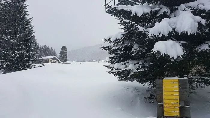 Beflogen wird wieder der Bereich Geierkogel (im Bild die Weingruber-Siedlung)