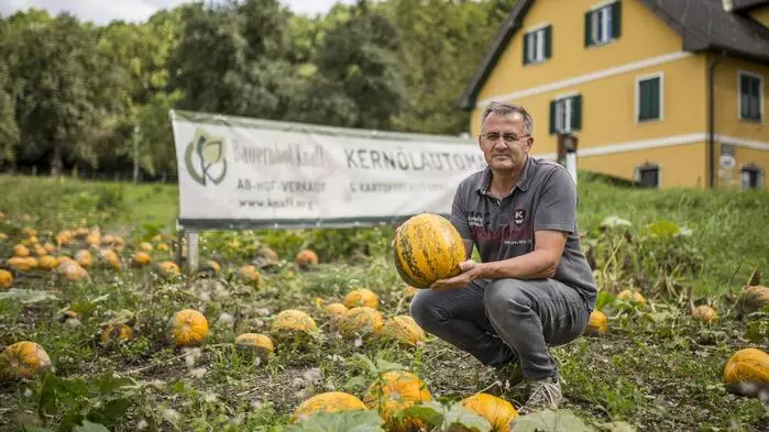Paul Knafl hofft bei der Kürbisernte auf das Beste