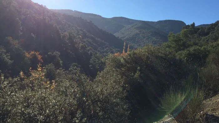 Schneebedeckte Berge in den Pyrenäen und Traumstrände an der Costa Brava und der Costa Daurad -  das prägt Katalonien. Doch was liegt dazwischen? Ein Hinterland, das gerade jetzt, wenn der Frühling bei uns erst langsam seine wärmenden Strahlen ausschickt, schon in goldenem Licht erstrahlt und herzlich zum Wandern einlädt.