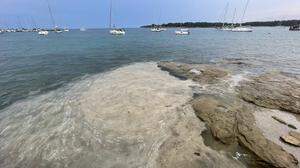 Neben Italien ist auch die kroatische Adriaküste vom Algenschleim betroffen