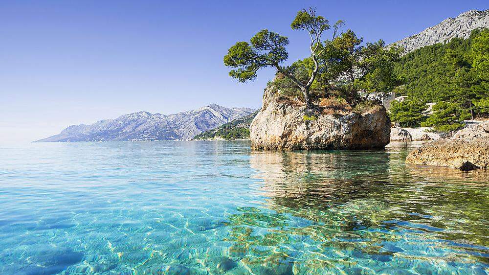 Pinienwälder, die bis ans glasklare Wasser reichen, kennzeichnen die Makarska Riviera