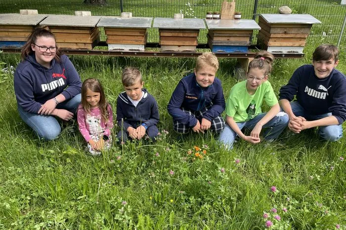 Für die Schülerinnen und Schüler gibt es bei "ihren" Bienen täglich etwas zu sehen.