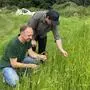 Landwirt Manfred Mikl und Künstler Benjamin Reynolds bei der Begutachtung des Flachses