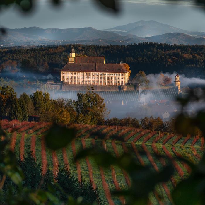 Schloss Stainz ist zum ersten Mal Austragungsort des Roséweinfestivals
