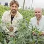 David Ulbing und Luca Kusej können sich schon über einige Auszeichnungen für ihren Bio-Hanf freuen. Jetzt wurde eine Pharmafirma gegründet, um die Pflanzen auch als Arzneimittel verarbeiten zu können