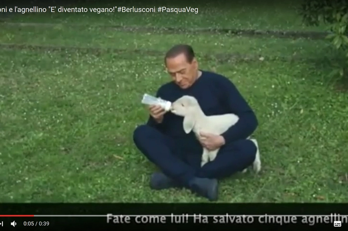 Veröffentlicht wurden Bilder Berlusconis, der ein junges Lamm umarmt und ein anderes mit einer Milchflasche füttert.