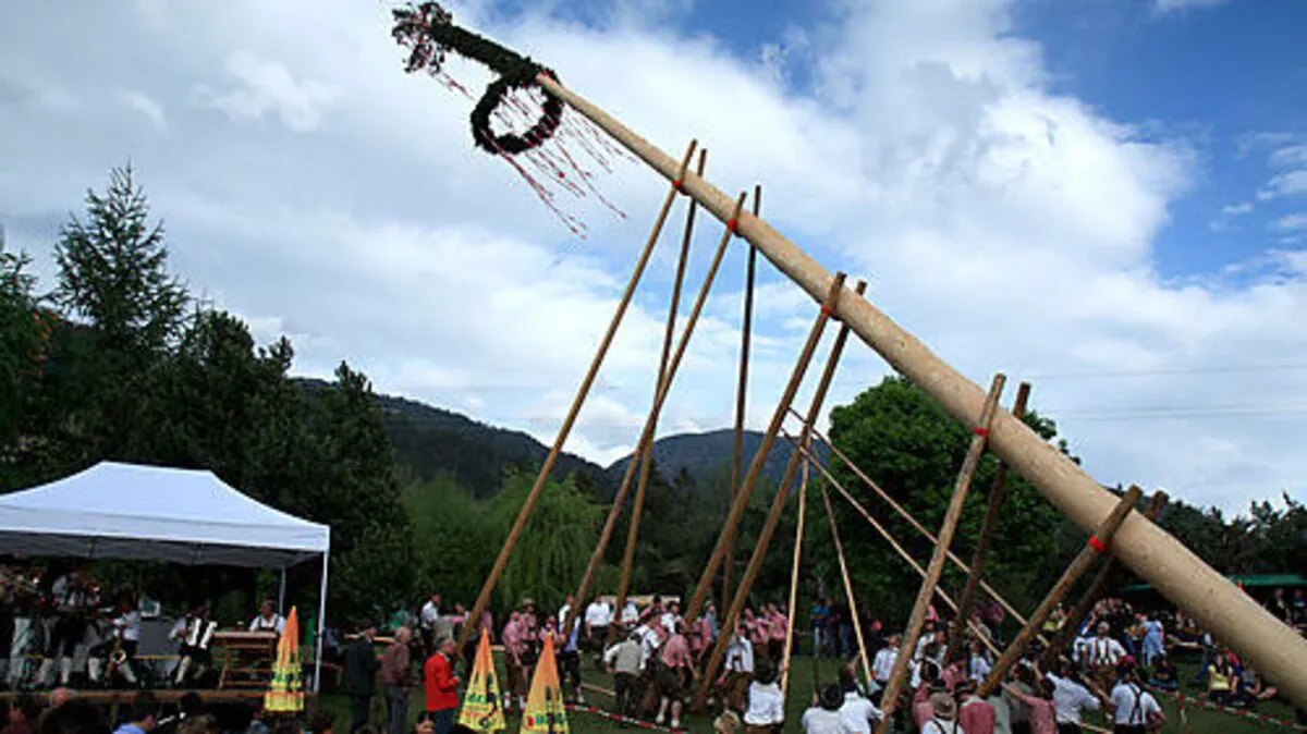 Maibaum Aufstellen "Anno Dazumal