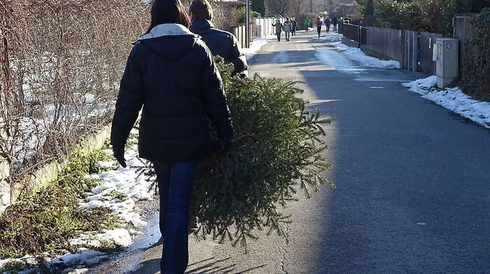 Nun ist es höchste Zeit, den Baum zu entsorgen