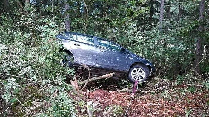 Schließlich prallte die Frau mit ihrem Pkw gegen einen Baum und kam so zum Stillstand
