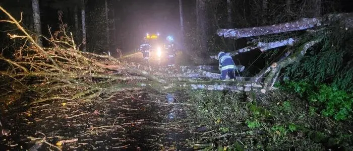 In Gutenberg waren mehrere Bäume auf die Straße gestürzt