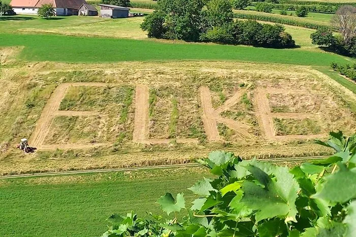 In St. Anna am Aigen ließ sich ein Ehemann am Hochzeitstag etwas ganz Besonderes einfallen. Manfred Fassold "mähte"  den Namen seiner Gattin in die Wiese und wünschte seiner Elke auf diesem Weg alles Gute zum Hochzeitstag.