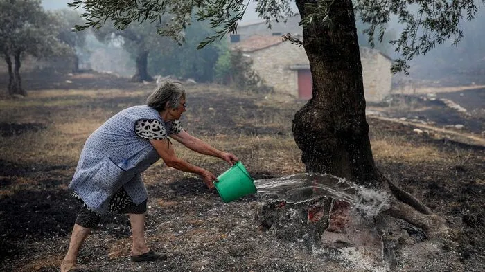 In Portugal, wo die Temperaturen am Wochenende gesunken sind, gab es nach Angaben der Behörden am Sonntag zwei Waldbrände im Norden. Das portugiesische Gesundheitsministerium hatte am Samstagabend mitgeteilt, dass in den vergangenen sieben Tagen 659 Menschen an den Folgen der Hitzewelle gestorben seien, die meisten von ihnen ältere Menschen. 