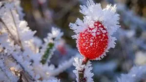 Die Temperaturen bleiben auch tagsüber unter null