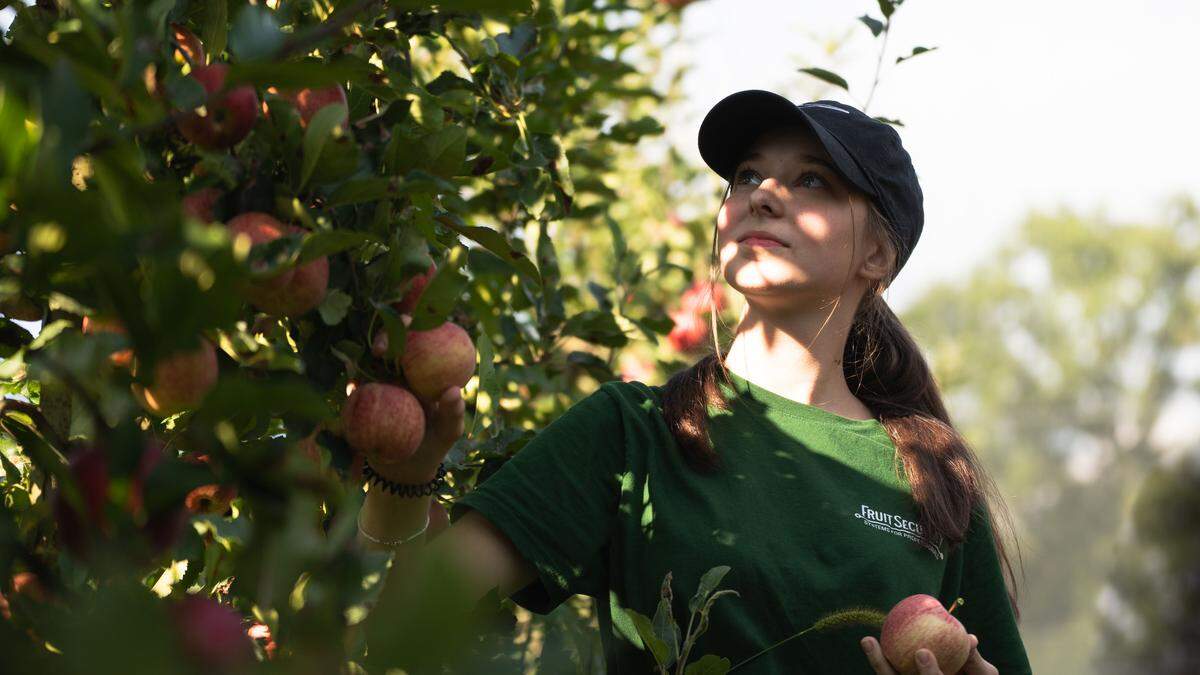 Der Apfel ist das Lieblingsobst der Österreicher. Erfahren Sie hier alles über den kugelrunden, süßen Tausensassa.