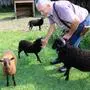 Alois Wascher mit seinem Bock Lümmel und den beiden jungen Lämmern Lira und Laura