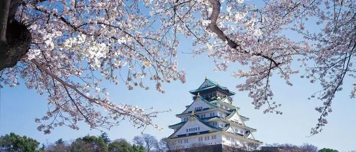 Im April 2027 geht es mit dem Klinikum-Betriebsrat zur Kirschblüte nach Japan (Symbolfoto)
