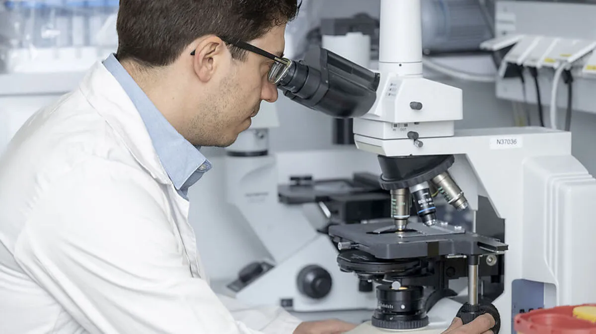 Autoimmunerkrankungen beschäftigen die Forscher