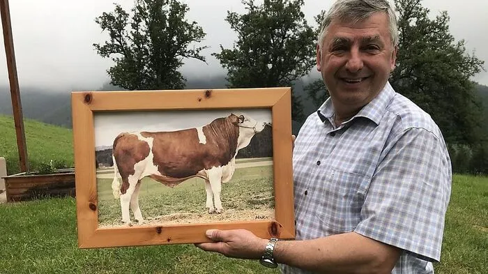 Karl Mayer mit Bullen "Vettel". Der Stier war 750 kg schwer