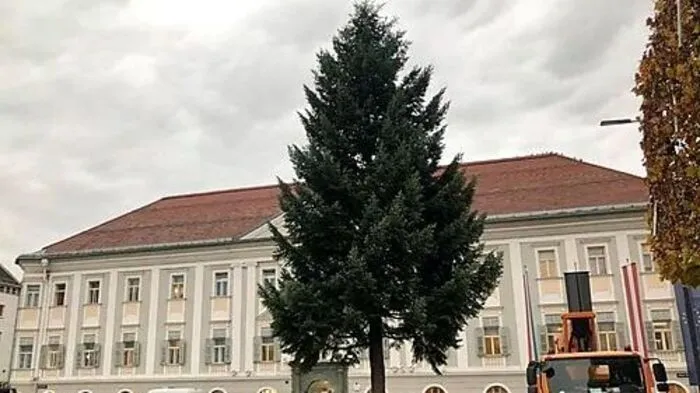 Der Christbaum auf dem Neuen Platz steht bereits.