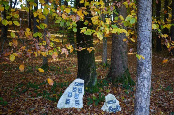 Eine Grabstätte für Mensch und Tiere.