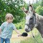 Tierquälerei hat viele Graustufen