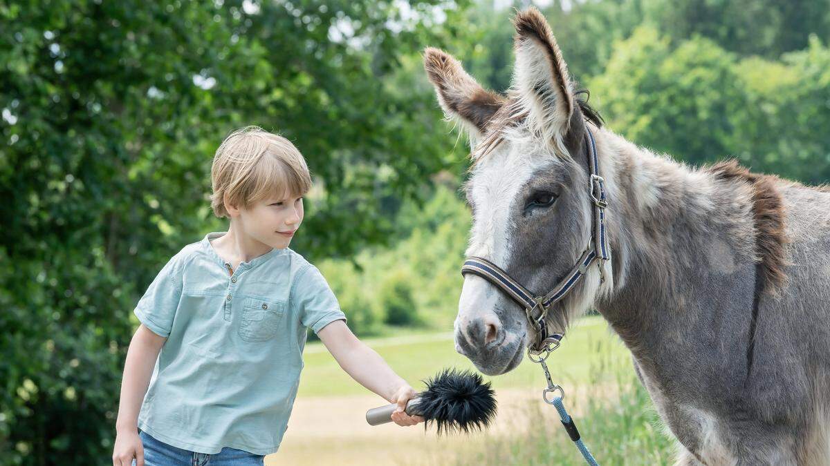 Tierquälerei hat viele Graustufen