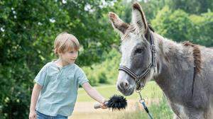 Tierquälerei hat viele Graustufen