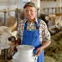Die Anzahl der Milchbauern im Land nimmt ab