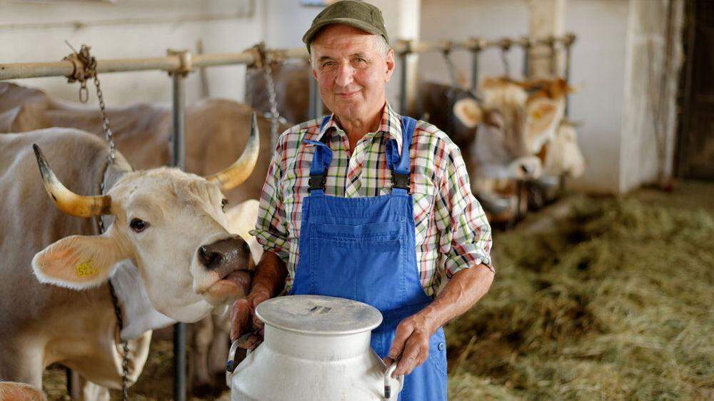 Die Anzahl der Milchbauern im Land nimmt ab