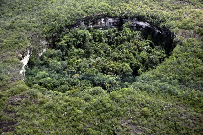 Aus der Vogelperspektive kann man die erstaunliche Pflanzenvielfalt besonders gut beobachten: Es wird vermutet, dass rund 75 Prozent der Pflanzenarten des gesamten kolumbianischen Amazonas und Guayana Gebietes in dem Park vorkommen.